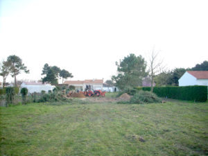 Démontage des arbres avant la construction